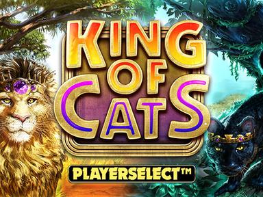 bigkingofcats_Horizontal.jpg