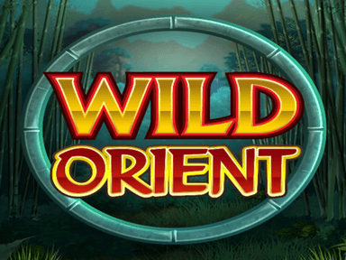 mgslotswildorient_Horizontal.png