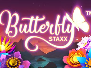 ntnbutterflystaxx_Horizontal.jpg