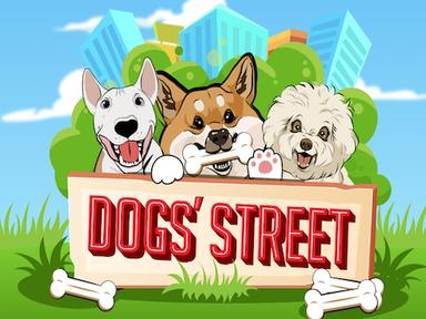 tbgdogsstreet_Horizontal.jpg