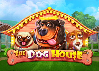 vs20doghouse_Horizontal.png