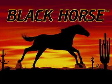 wznblackhorse_Horizontal.jpg